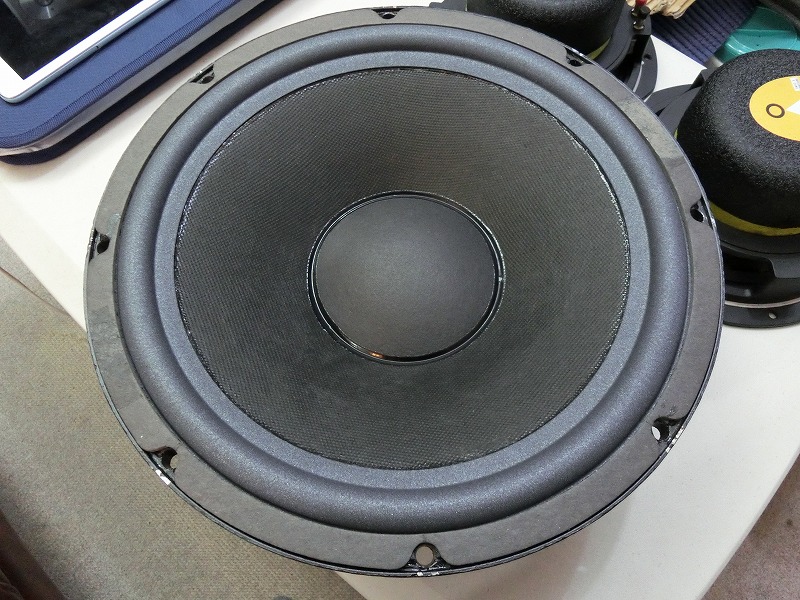 Electro Voice Georgian Sentry 505